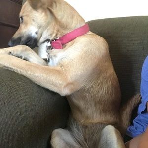 Meet your Posher, Erica